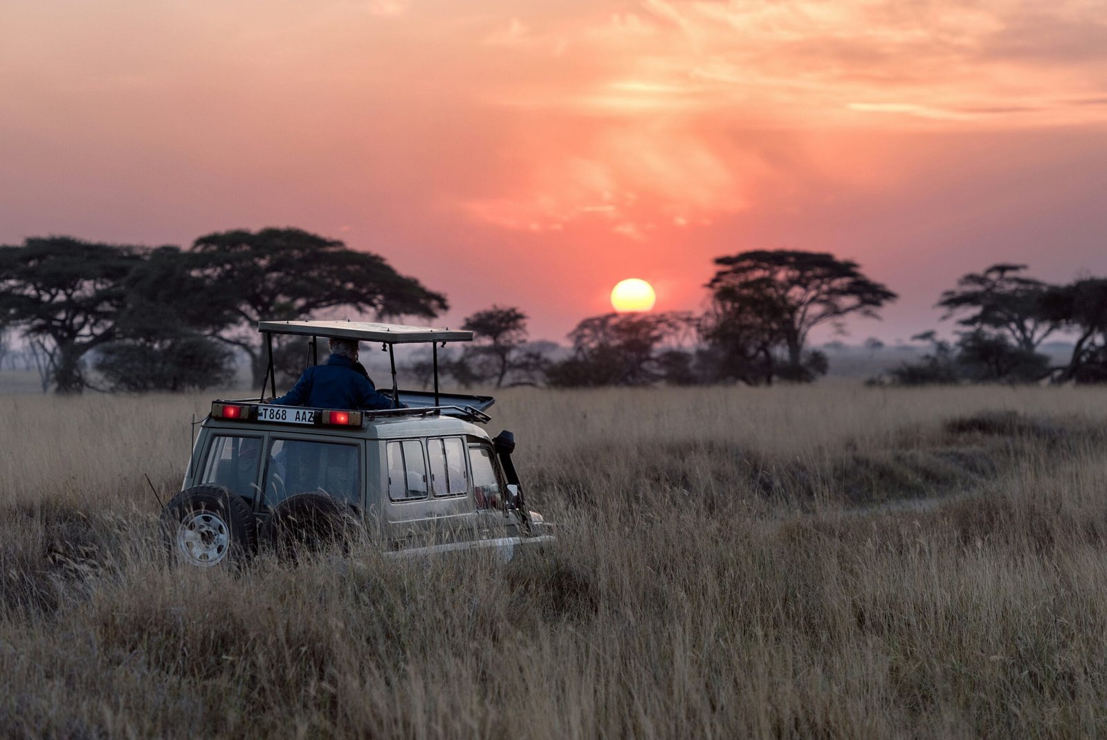 Koko Paradise - Travel Planner - Safari