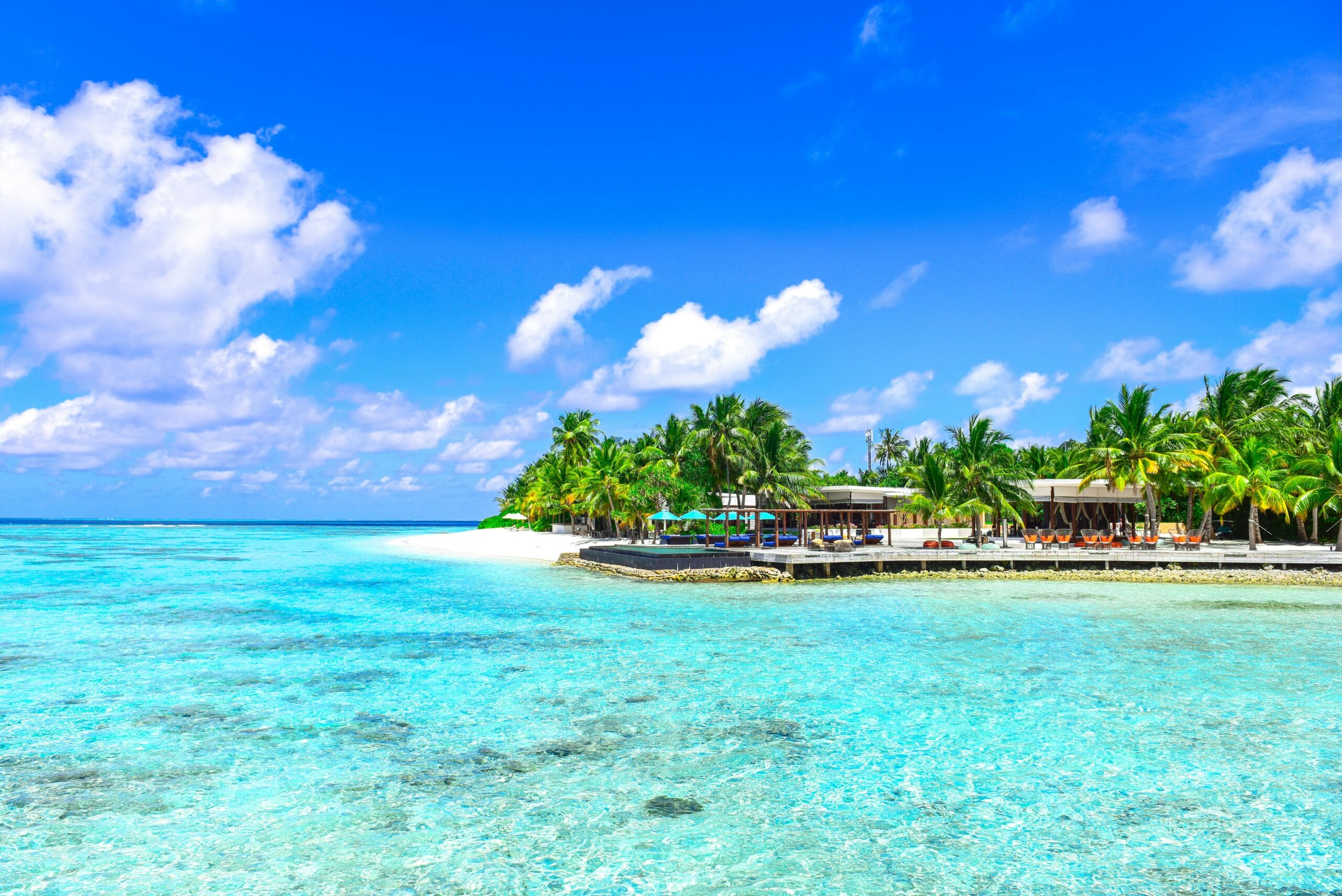 Koko Paradise - Page Zanzibar