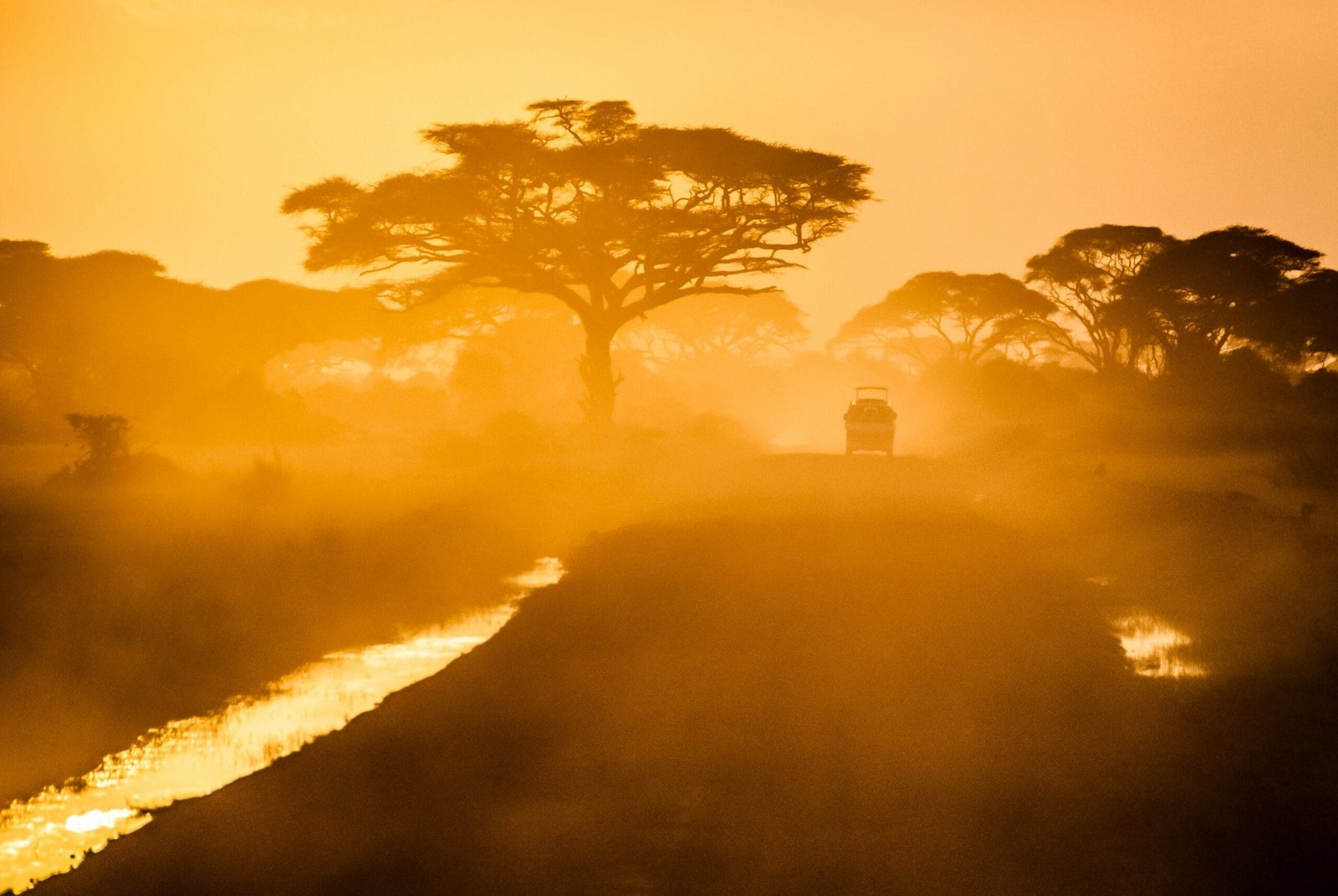 Koko Paradise - Travel Planner - Safari