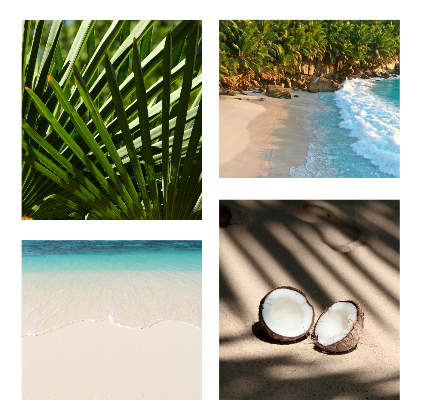 Koko Paradise
