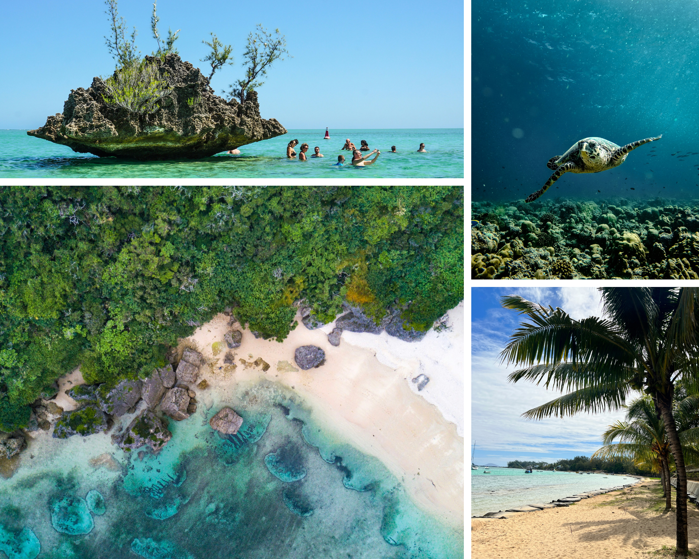 Koko Paradise - Travel Planner - Page services