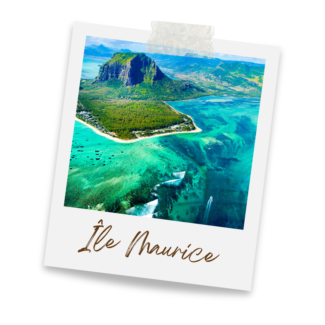 Koko Paradise - Travel Planner - Page d'accueil 