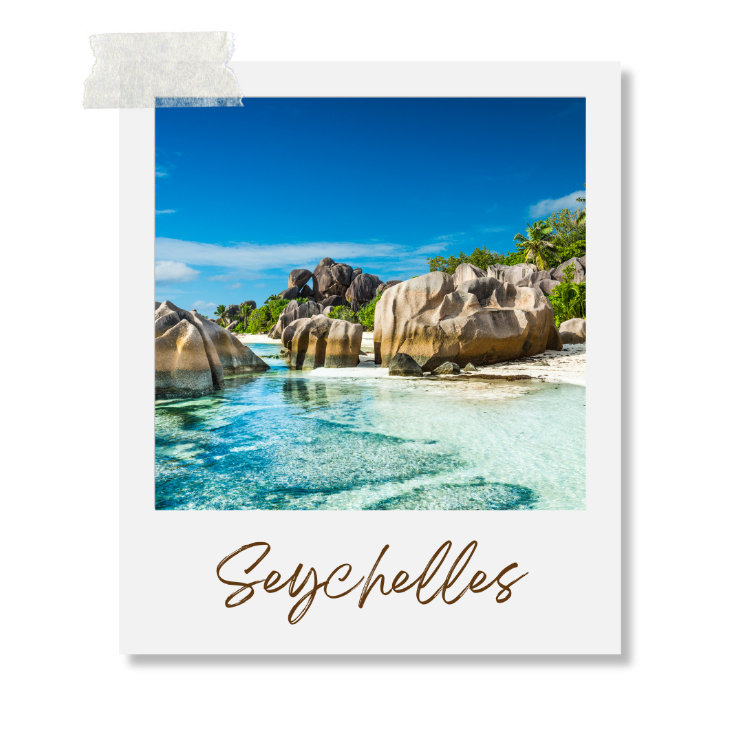 Koko Paradise - Travel Planner - Page d'accueil 
