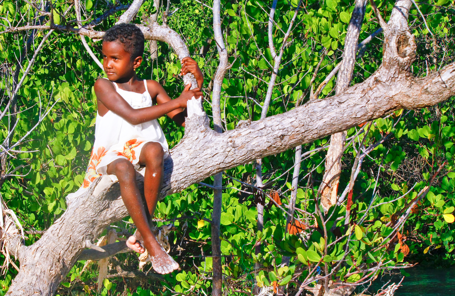 Koko Paradise - Travel Planner - Madagascar