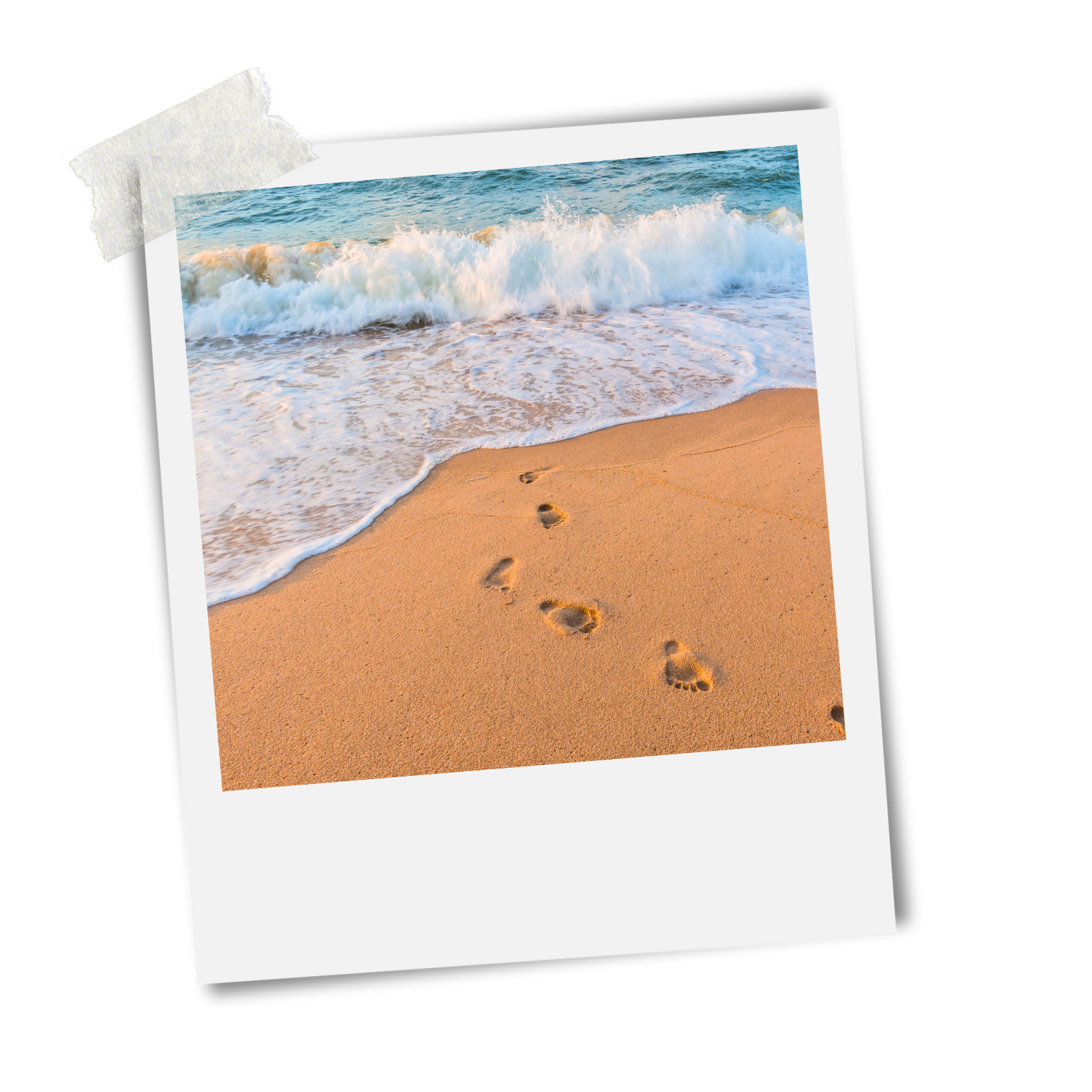 Koko Paradise - Travel Planner - Page à propos