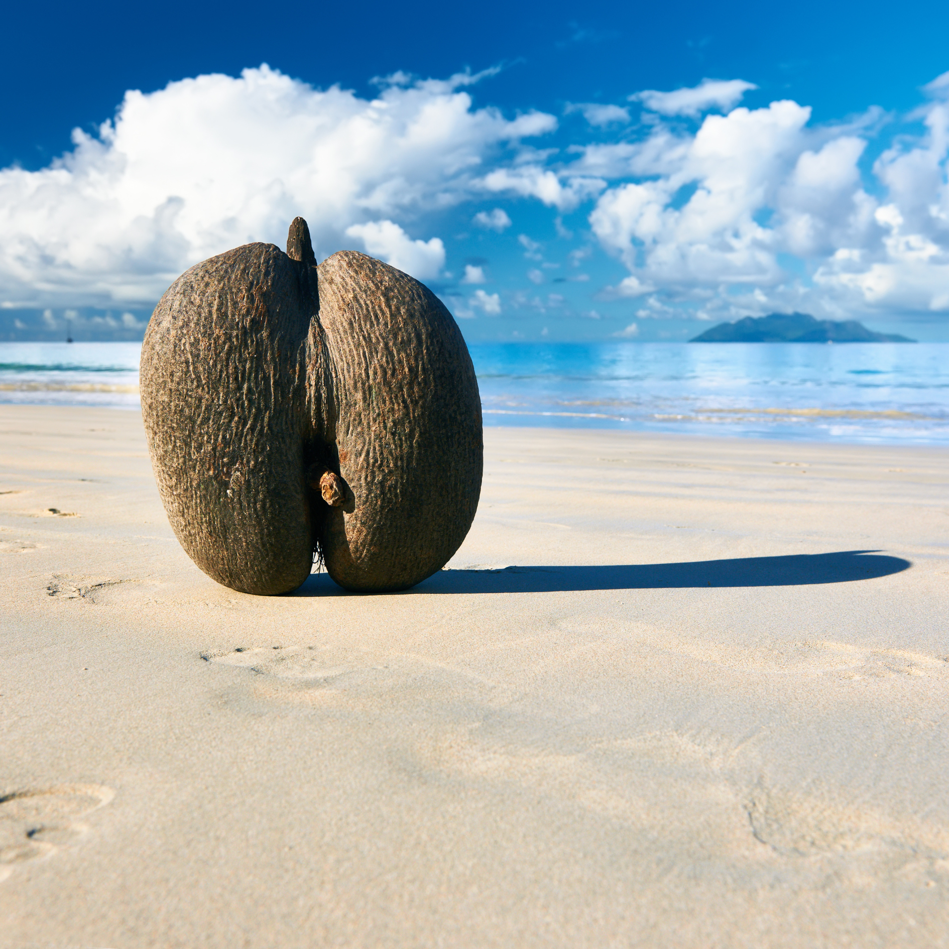 Koko Paradise - Travel Planner - Seychelles