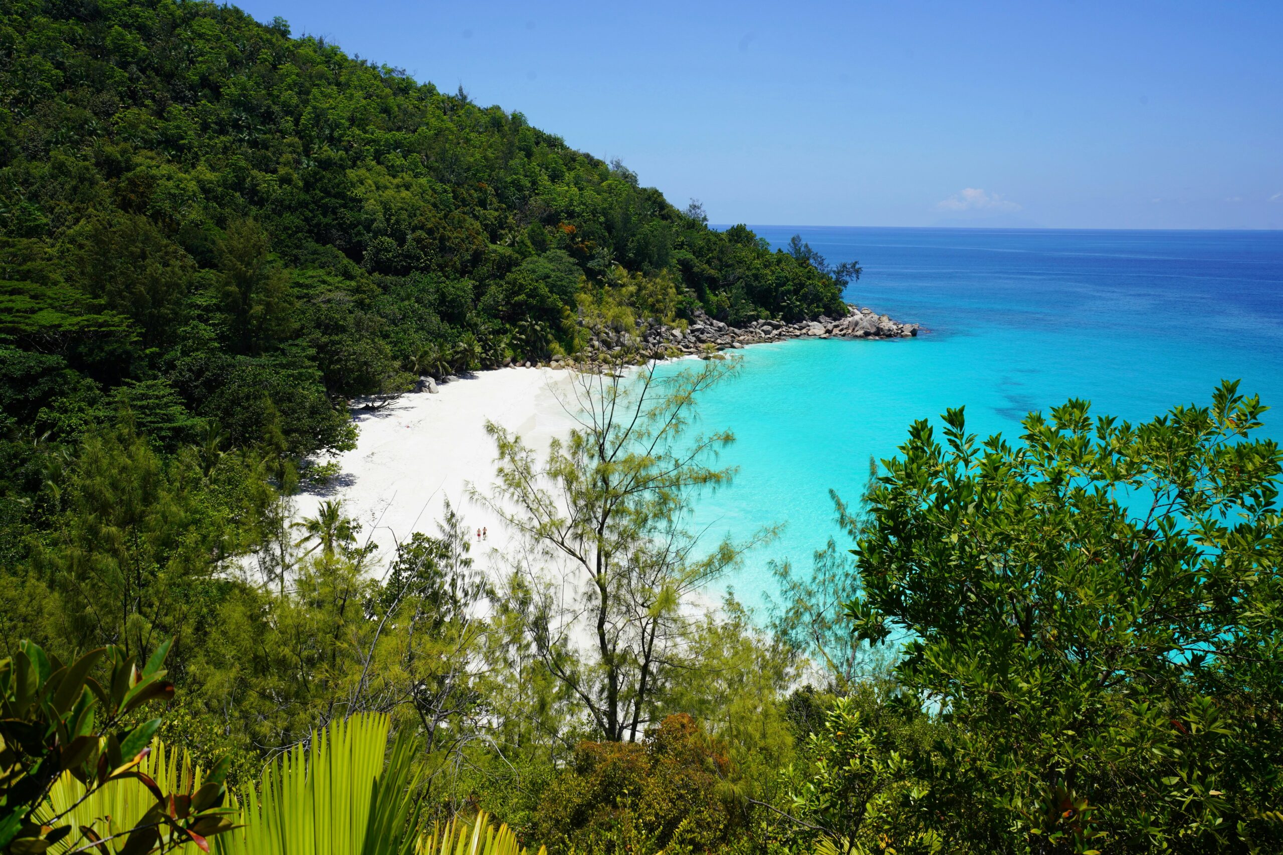 Koko Paradise - Travel Planner - Page services