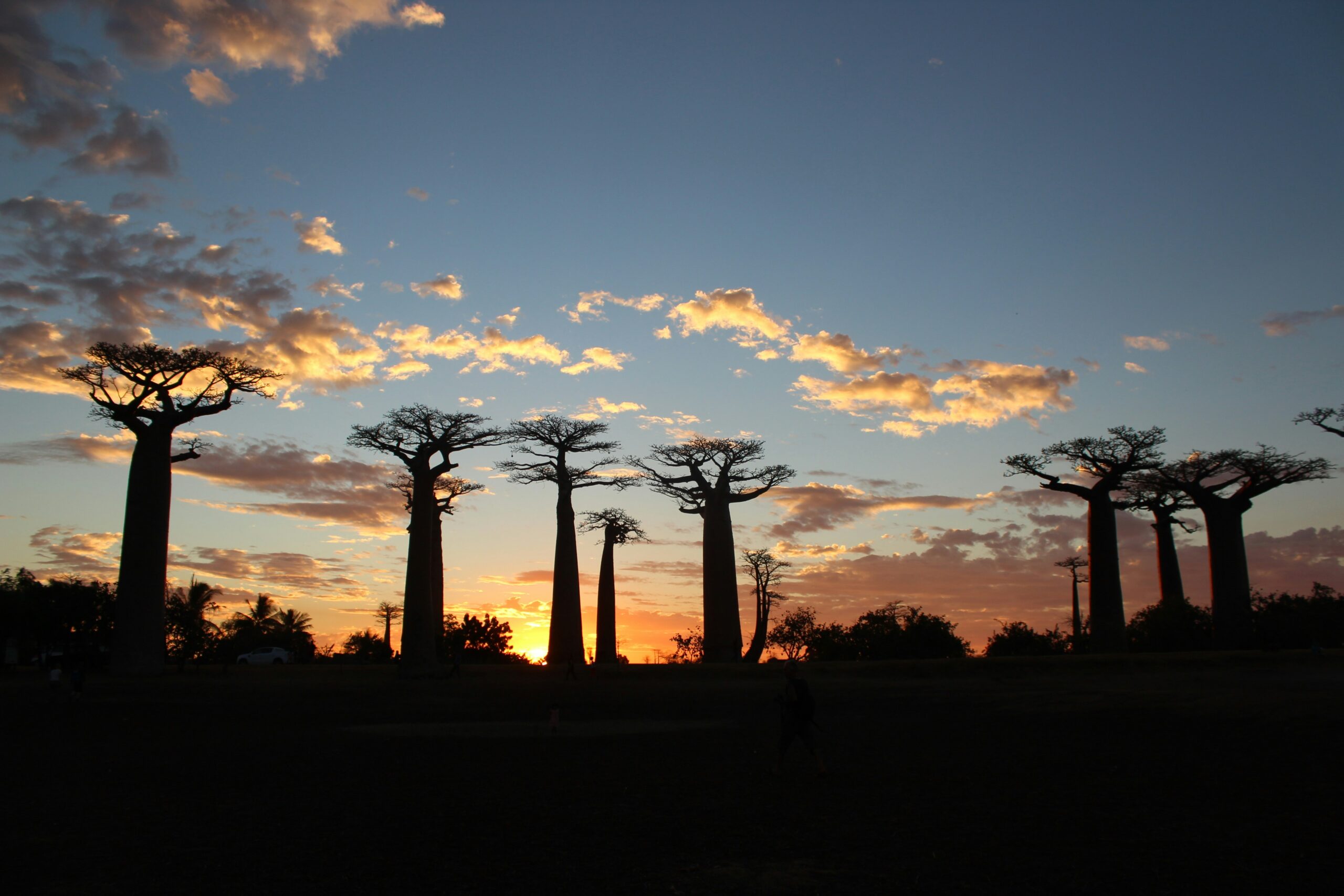 Koko Paradise - Travel Planner - Madagascar