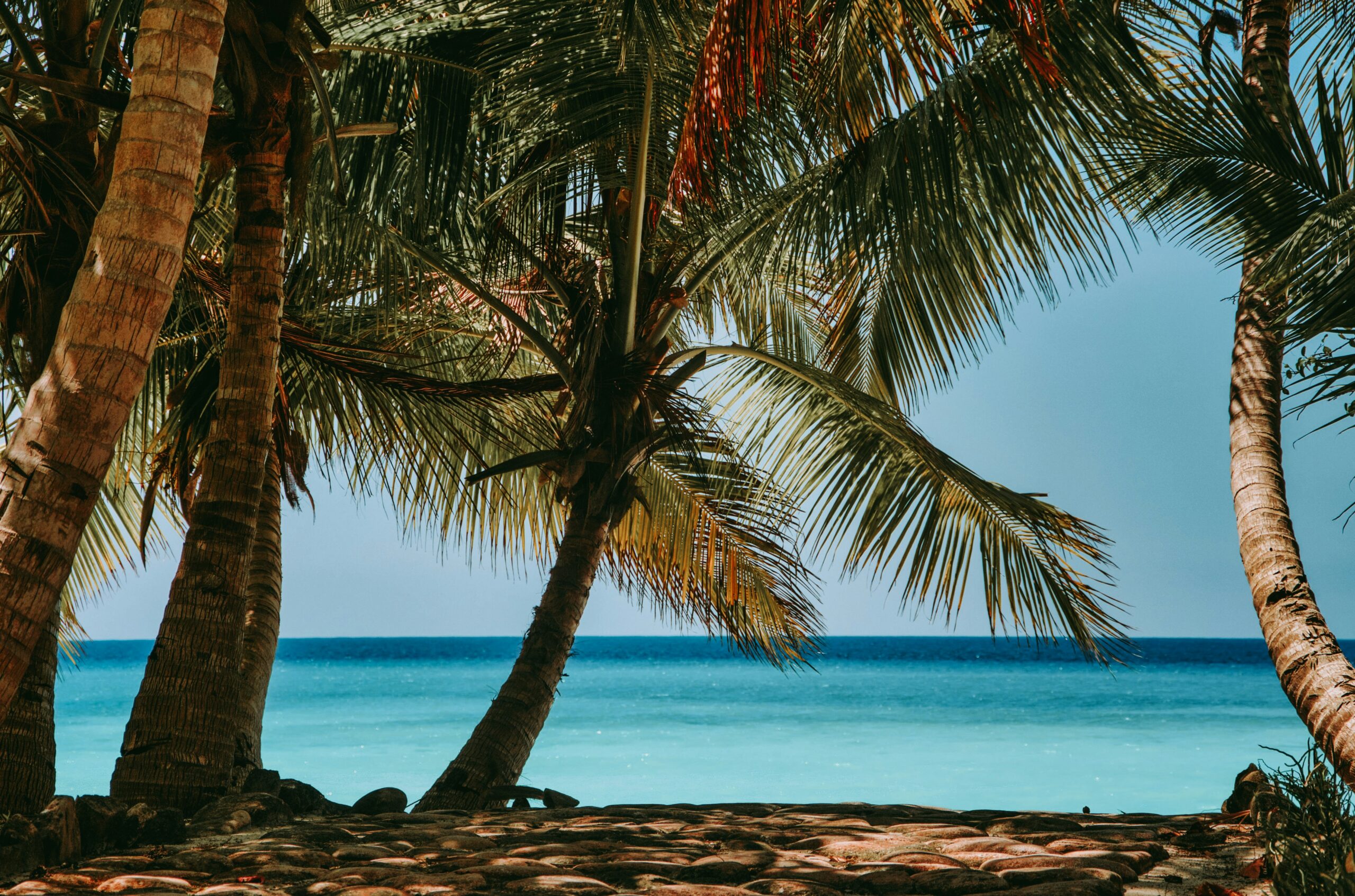 Koko Paradise - Travel Planner - Madagascar