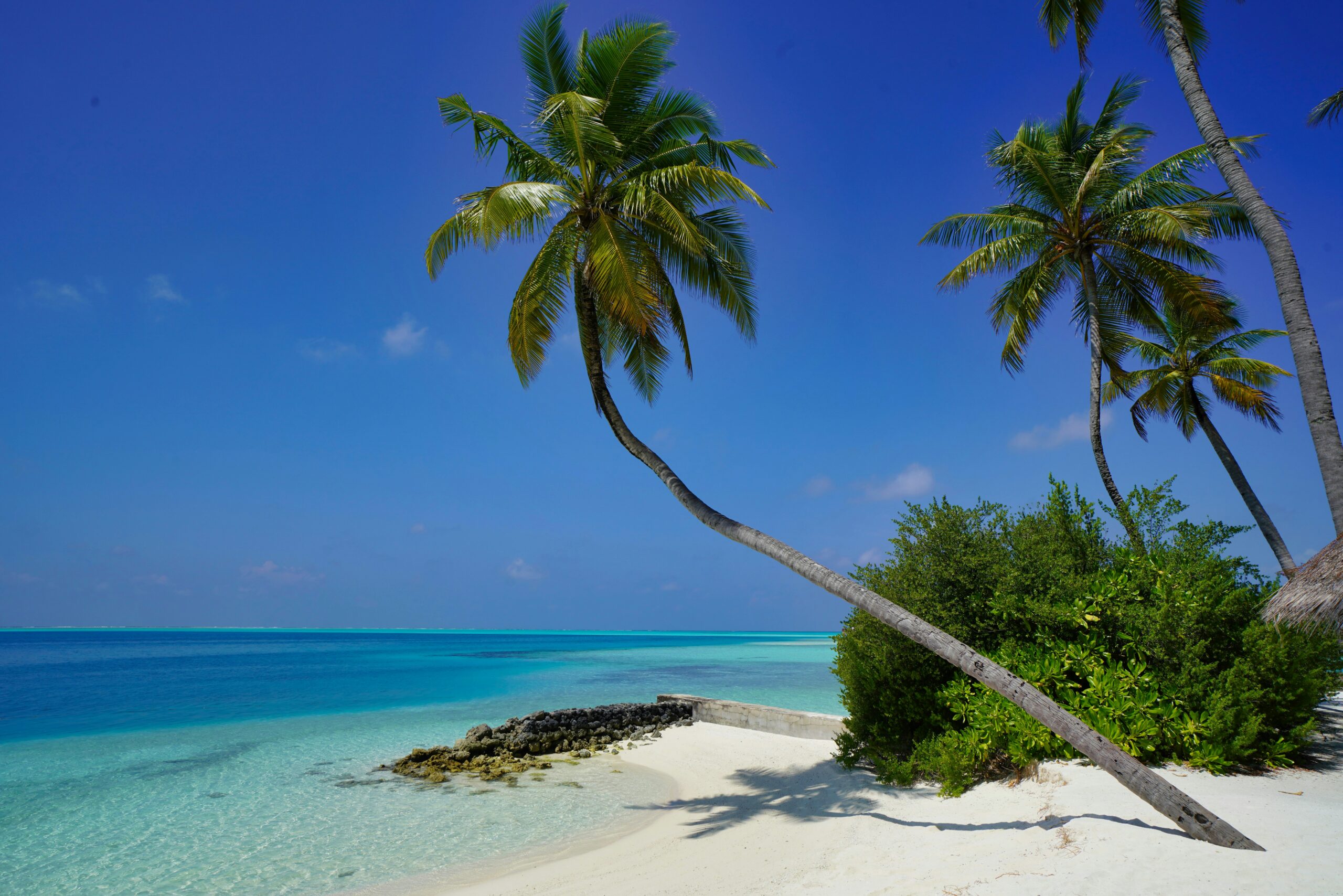 Koko Paradise - Travel Planner - Les Maldives