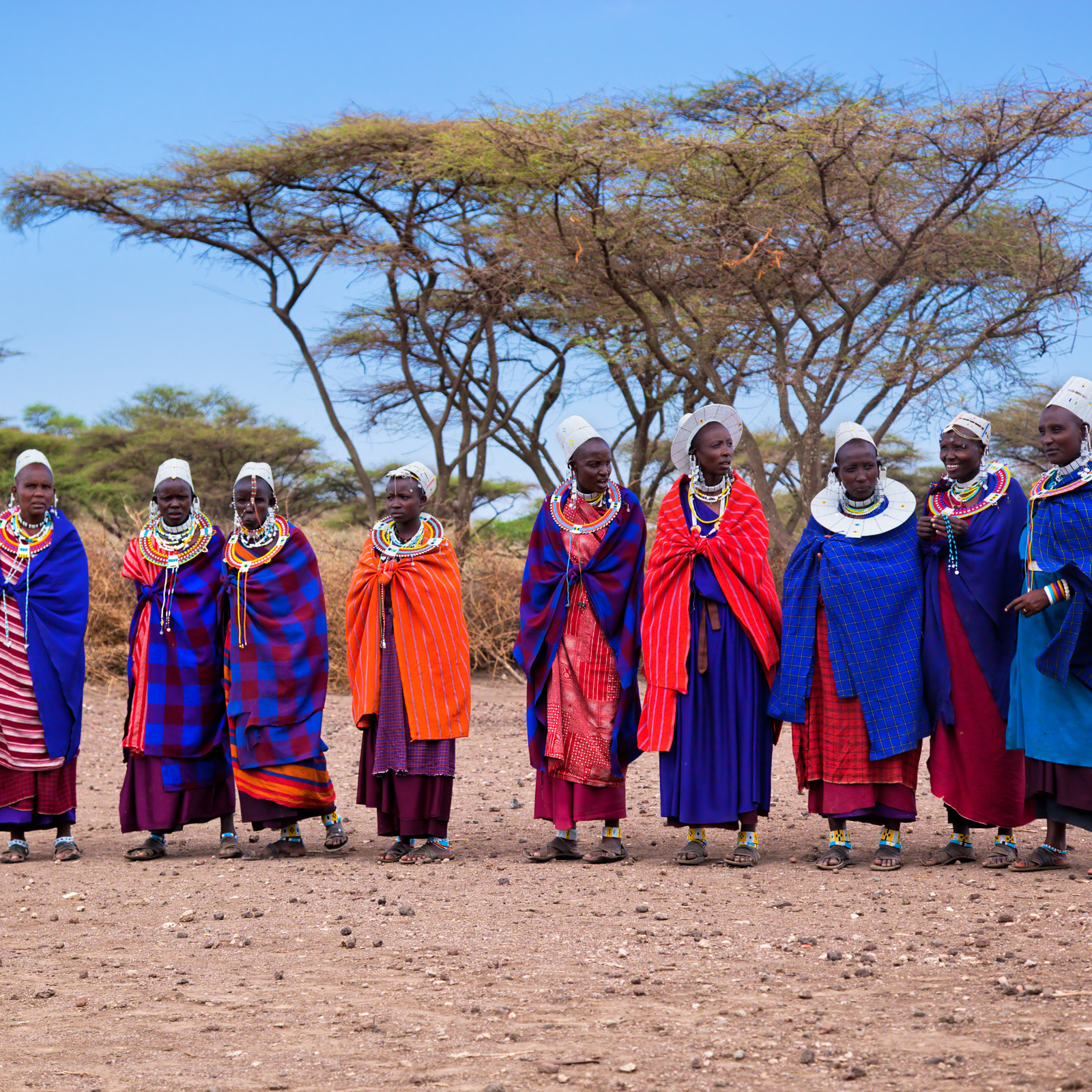 Création d’un circuit safari en Tanzanie sur mesure