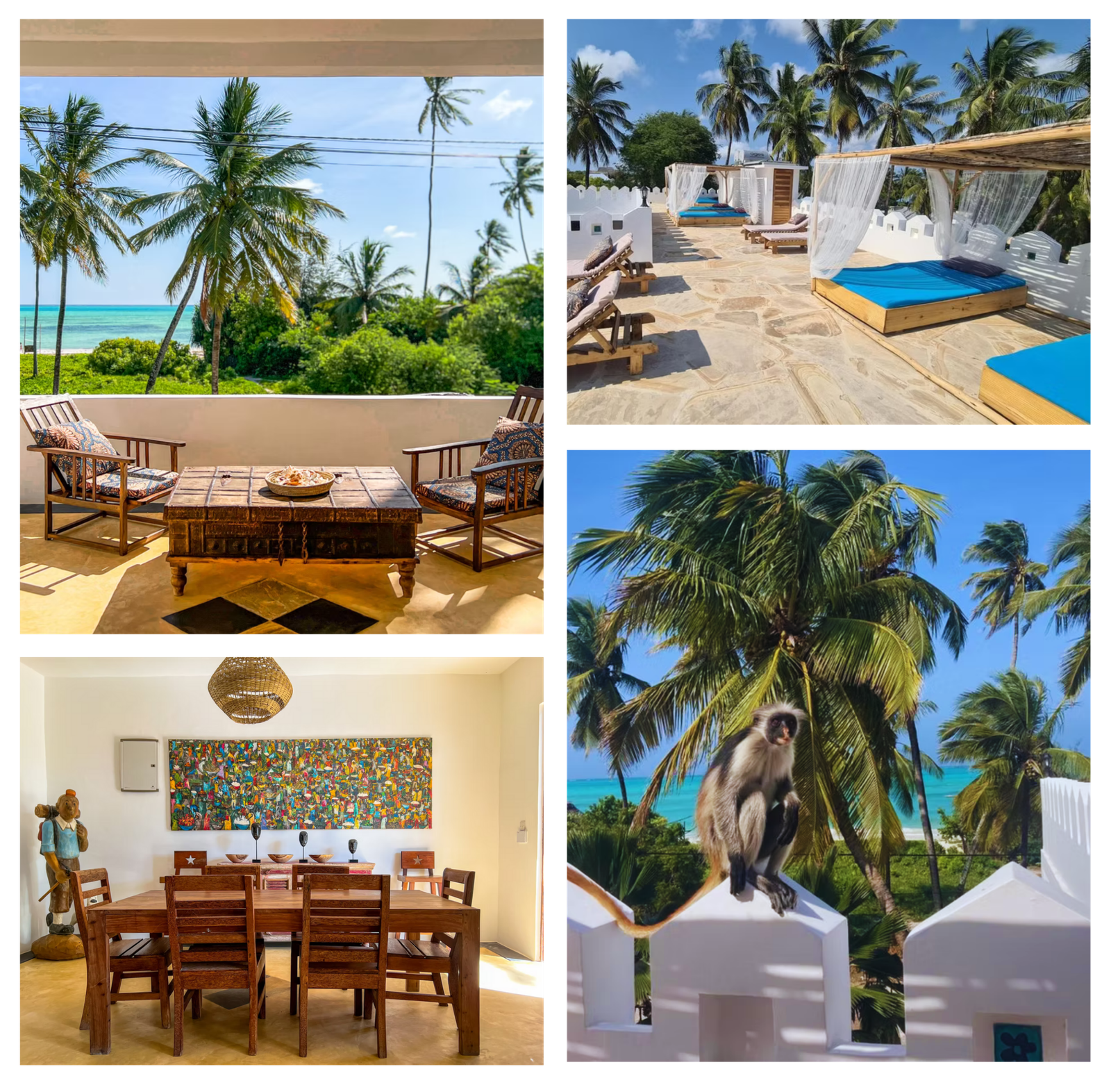 Expérience unique de girls trip en Tanzanie