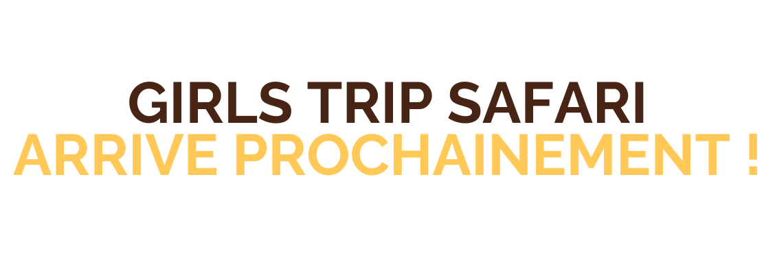 Planification personnalisée d’un safari en Tanzanie